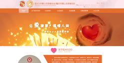 重慶市渝中區陽光520愛心志愿者協會