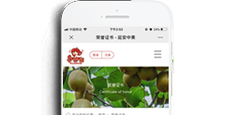 延安中果生態農業科技有限公司【手機版】